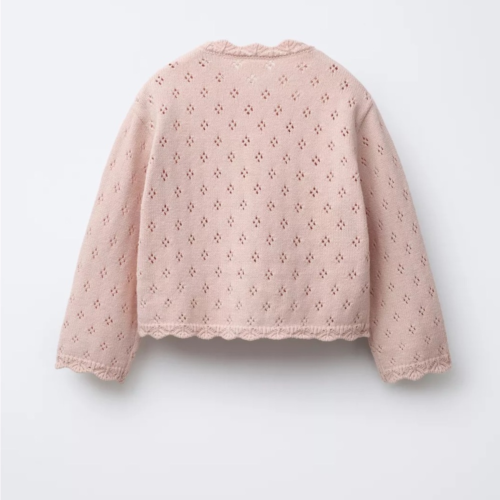 Zara Blush Knit Cardigan with Floral Embroidery - Picture 3 of 8